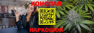 прущие крисы Малгобек
