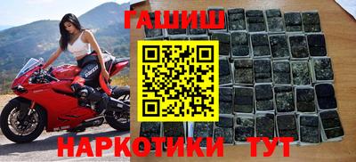 дживик Можга