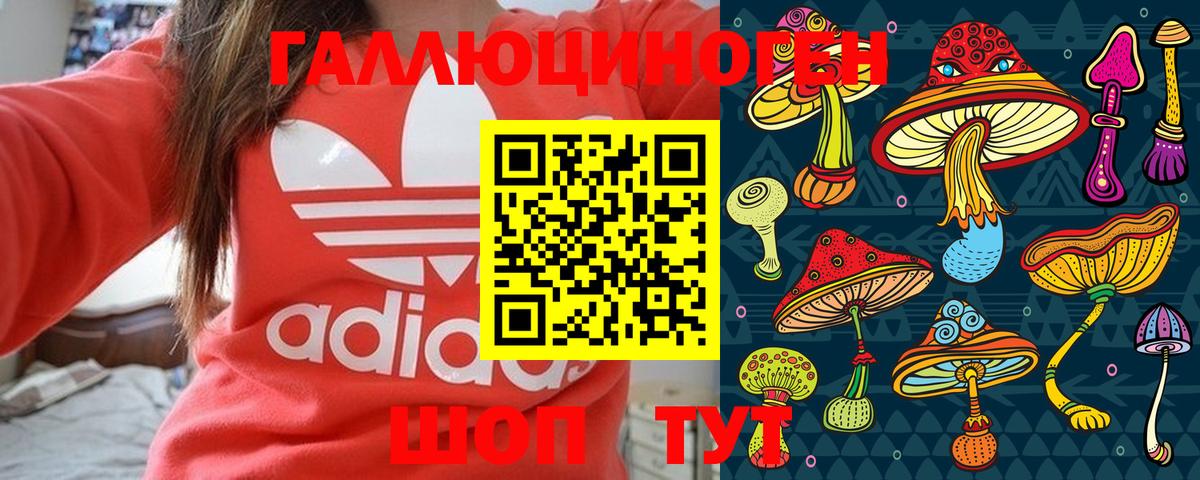 Псилоцибиновые грибы Psilocybine cubensis  Вход с VPN  Галлюциногенные грибы ЛСД  Владимир 