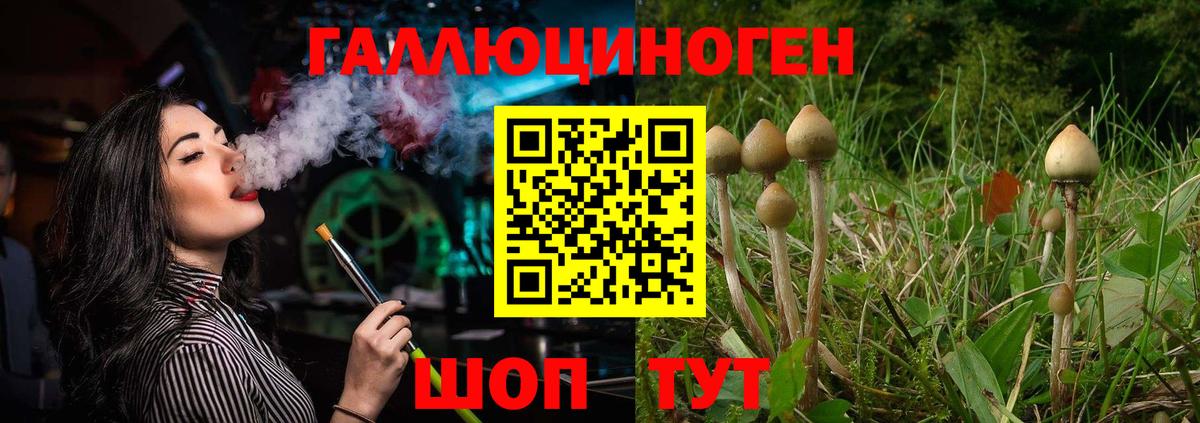 Галлюциногенные грибы мухоморы Владимир